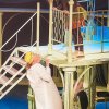 Бременские музыканты музыкальный спектакль